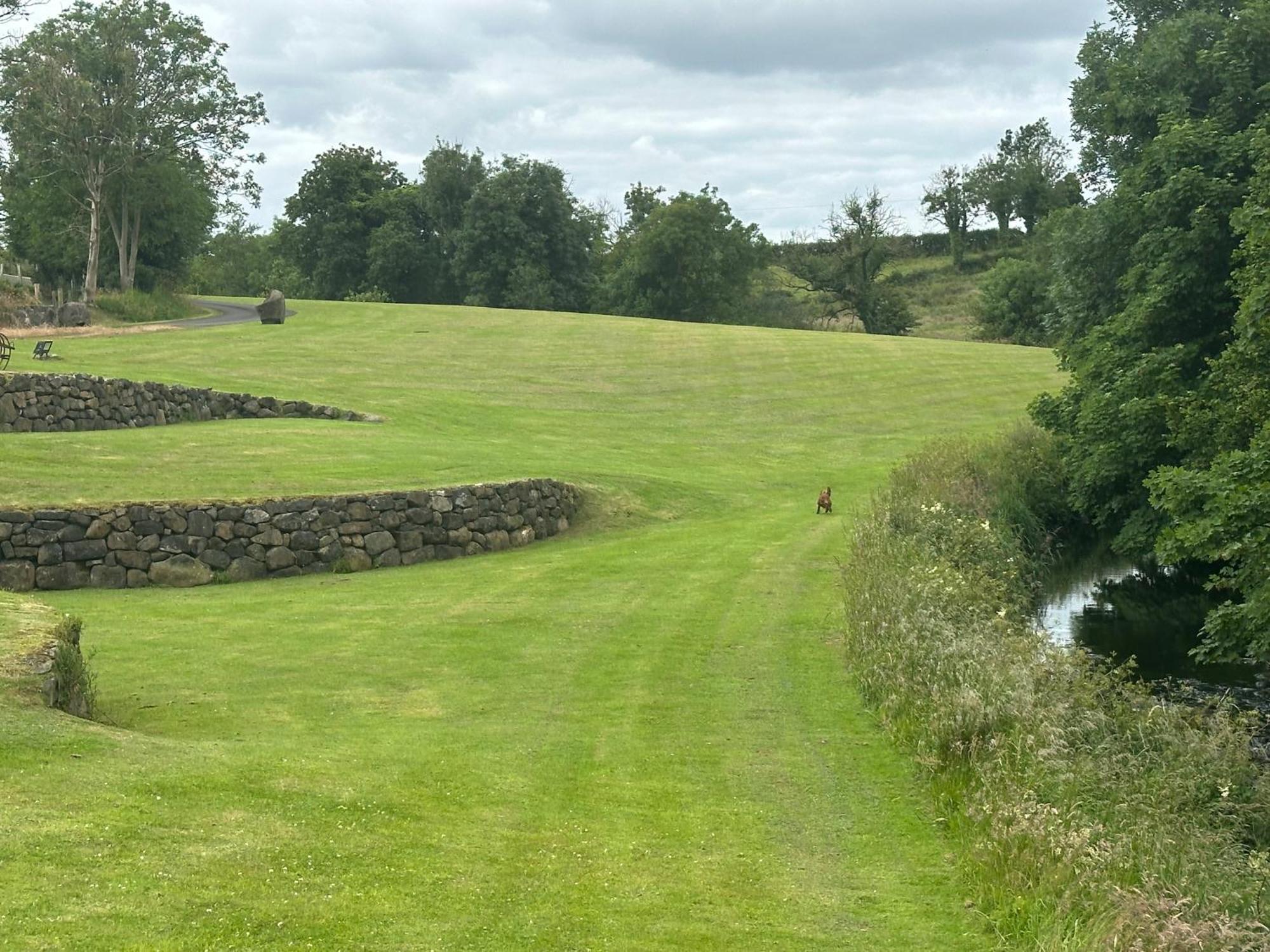 The Old Flax Mill Yoga Retreat Villa Coleraine Luaran gambar